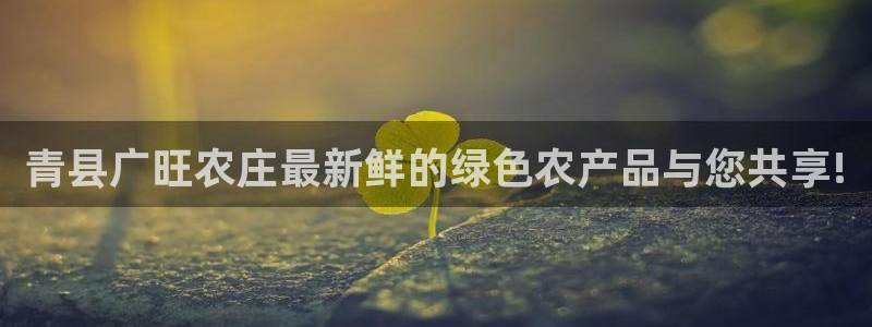 必一体育秀给网