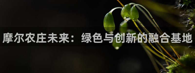必一体育app官方