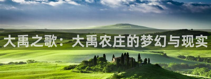 必一体育运动官网