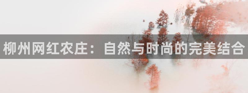 必一运动体育app