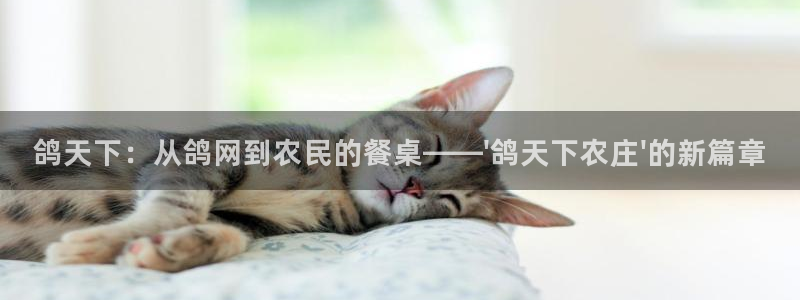 必一体育下载一样吗