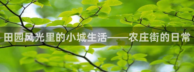 必一体育APP