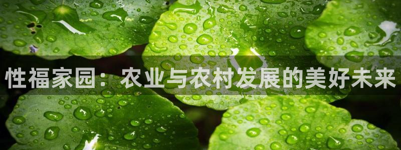 必一体育在线官网