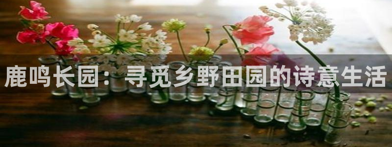 必一体育app下载装机吧