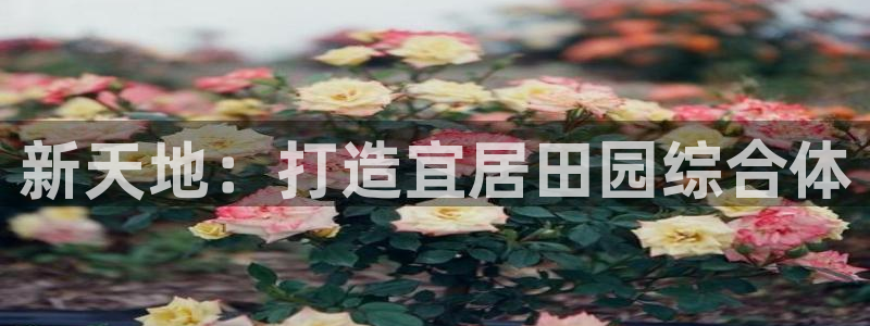 必一体育网页登陆