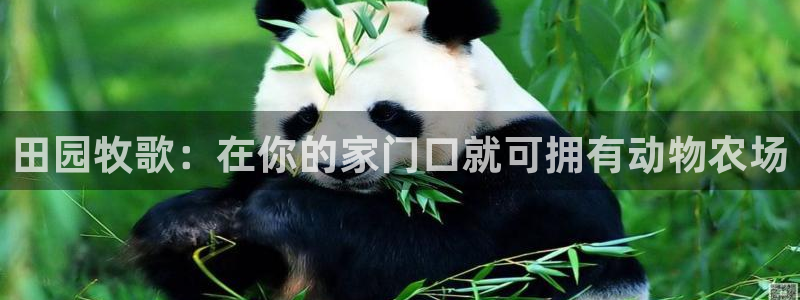 必一体育在线玩