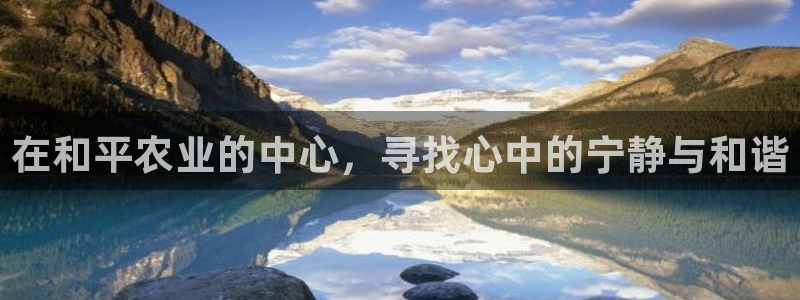 必一体育在线官网