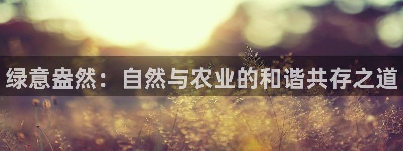 必一体育可靠吗