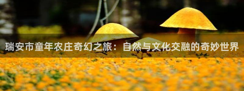 必一体育网站