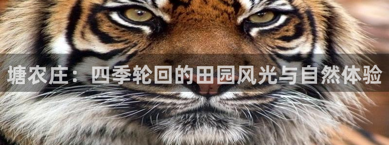 必一体育运动下载
