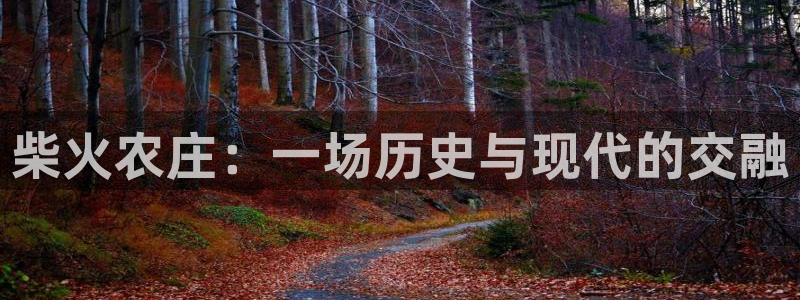 必一体育sport官网