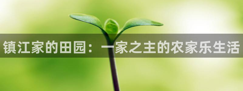 必一体育登录入口APP