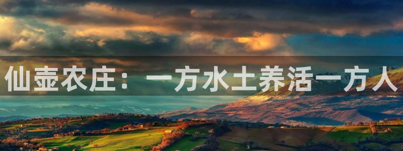 必一体育sport官网