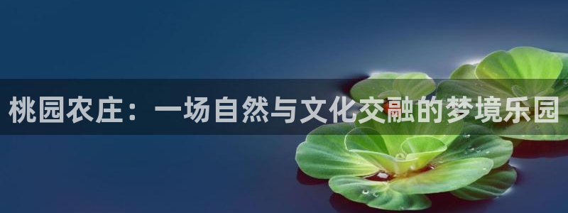 必一体育运动平台官网