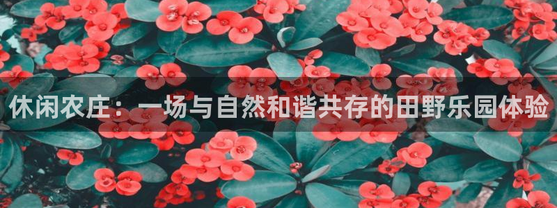 必一运动官网入口