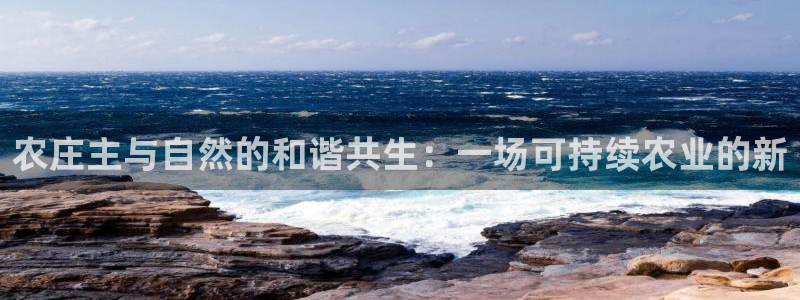 Bsport体育app必一