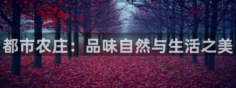 必一体育app官方正版下载