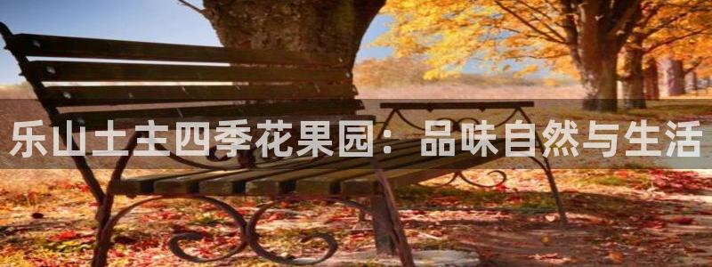 必一体育下载意思