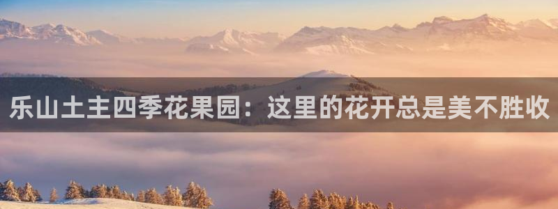 必一体育秀给网