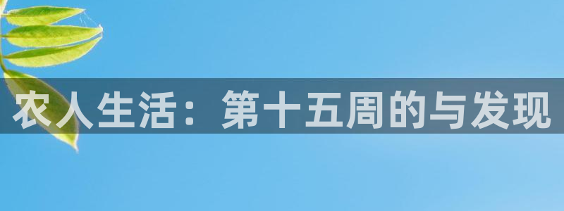 必一运动·(B-sports)