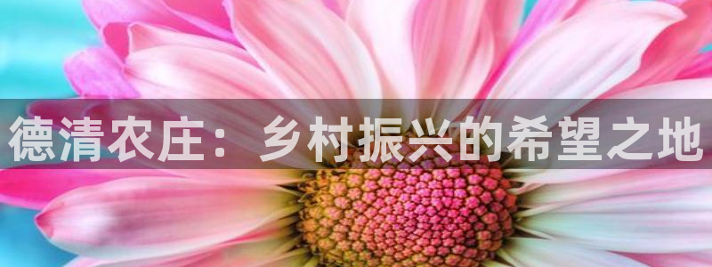 必一体育怎么下载