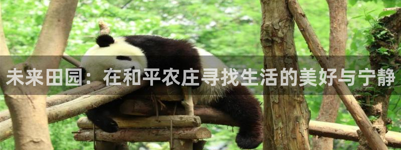 必一体育app官方下载入口