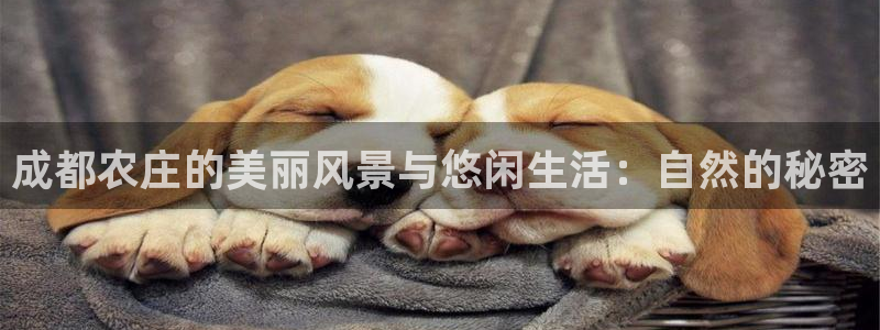 必一体育下载义
