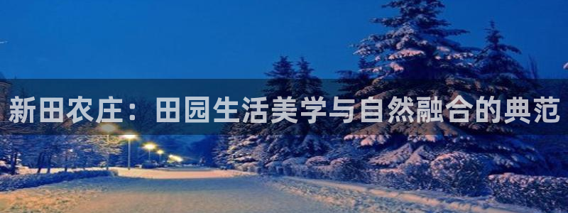 必一体育网页登录版官网