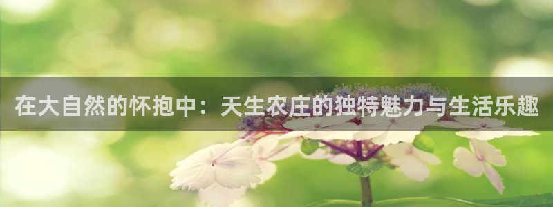 必一体育官方下载入口