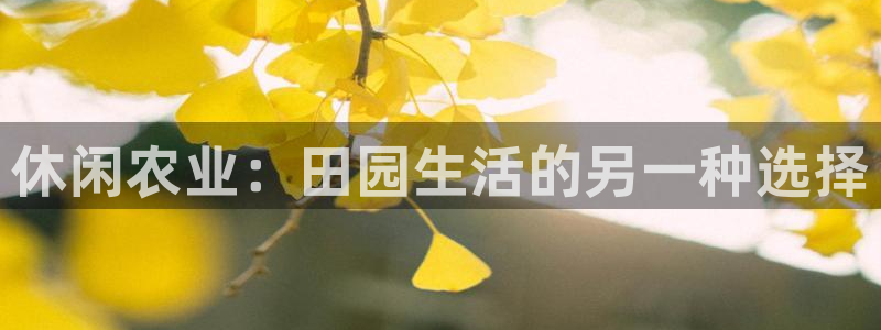 必一体育下载入口