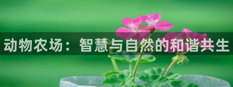 必一体育官网网址