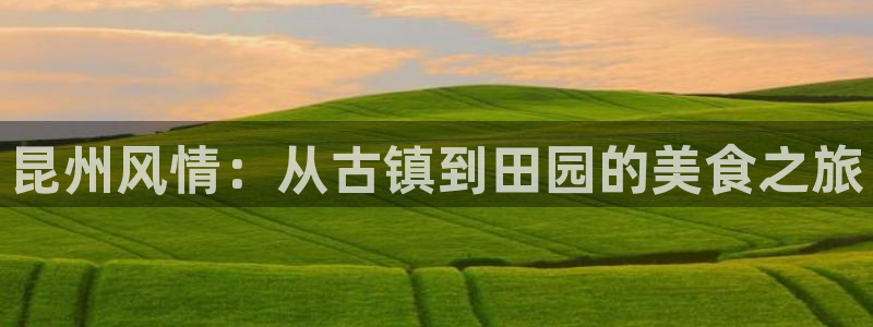 必一运动体育官网下载